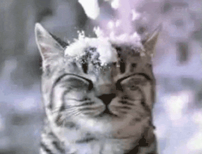 This example converts the 3rd frame in an animated cat GIF to a PNG picture.