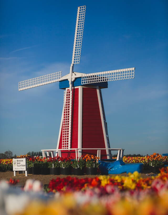 In this example, we input a PNG image of a colorful windmill and transform it into the magenta component of the CMYK color scheme. Thus, we obtain an image that shows the amount of magenta color required for the color printing of a PNG with a windmill. (Source: Pexels.)